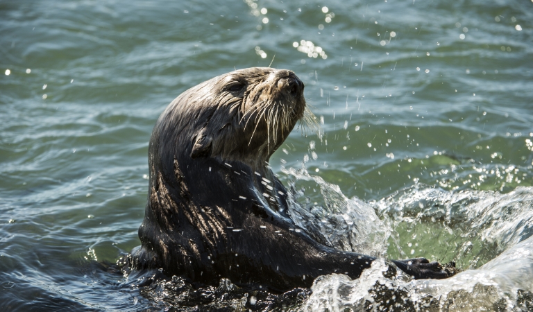 Hotel in Monterey – Days Inn Monterey Fisherman’s Wharf/Aquarium